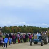 Wolfe's Neck Farm photo