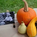 Wolfe's Neck Farm photo