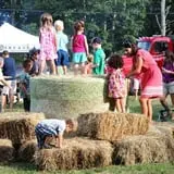 Wolfe's Neck Farm photo