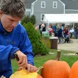 Wolfe's Neck Farm photo