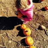 Wolfe's Neck Farm photo