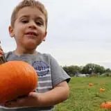Wolfe's Neck Farm photo