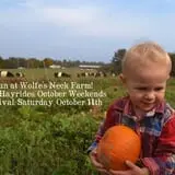 Wolfe's Neck Farm photo