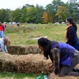 Wolfe's Neck Farm photo