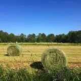 Wolfe's Neck Farm photo