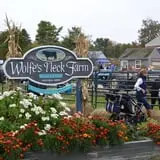 Wolfe's Neck Farm photo