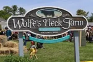 Wolfe's Neck Farm