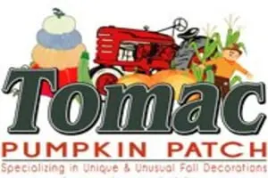 Tomac Pumpkin Patch
