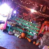 Pickin' Patch Farm photo