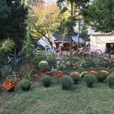 Pickin' Patch Farm photo