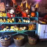 Pickin' Patch Farm photo