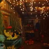 Pickin' Patch Farm photo