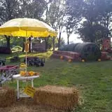 Pickin' Patch Farm photo