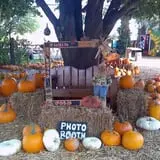 Pickin' Patch Farm photo