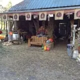 Pickin' Patch Farm photo