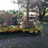 Pickin' Patch Farm photo
