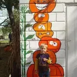 Pickin' Patch Farm photo