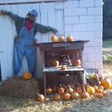 Pickin' Patch Farm photo