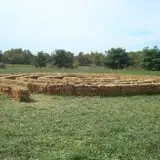 Pickin' Patch Farm photo