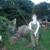 Pickin' Patch Farm photo