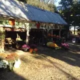 Pickin' Patch Farm photo