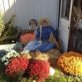 Pickin' Patch Farm photo