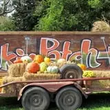 Pickin' Patch Farm photo