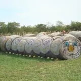 Pickin' Patch Farm photo