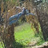 Pickin' Patch Farm photo
