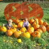 Pickin' Patch Farm photo