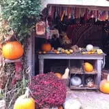 Pickin' Patch Farm photo