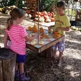 Pickin' Patch Farm photo