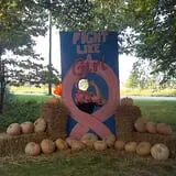 Pickin' Patch Farm photo