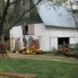 Pickin' Patch Farm photo