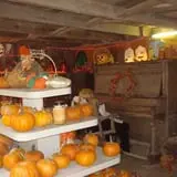 Pickin' Patch Farm photo