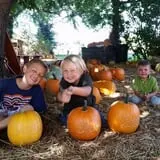 Pickin' Patch Farm photo