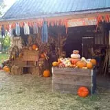 Pickin' Patch Farm photo