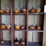 Sherman's Pumpkin Farm and Corn Maze photo