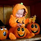 Sherman's Pumpkin Farm and Corn Maze photo