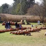 Sherman's Pumpkin Farm and Corn Maze photo