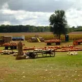 Sherman's Pumpkin Farm and Corn Maze photo