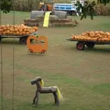 Sherman's Pumpkin Farm and Corn Maze photo