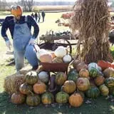 Sherman's Pumpkin Farm and Corn Maze photo