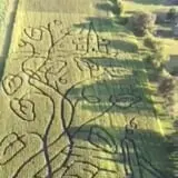 Sherman's Pumpkin Farm and Corn Maze photo