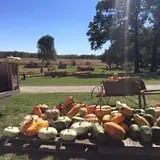Sherman's Pumpkin Farm and Corn Maze photo