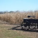 Sherman's Pumpkin Farm and Corn Maze photo