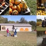Sherman's Pumpkin Farm and Corn Maze photo