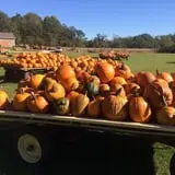 Sherman's Pumpkin Farm and Corn Maze photo