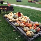 Sherman's Pumpkin Farm and Corn Maze photo