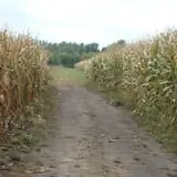 Sherman's Pumpkin Farm and Corn Maze photo